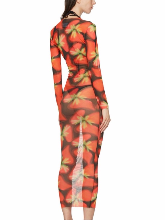Louisa Ballou Dresses & Skirts - Louisa Ballou High Tide printed mesh dress in red size XS